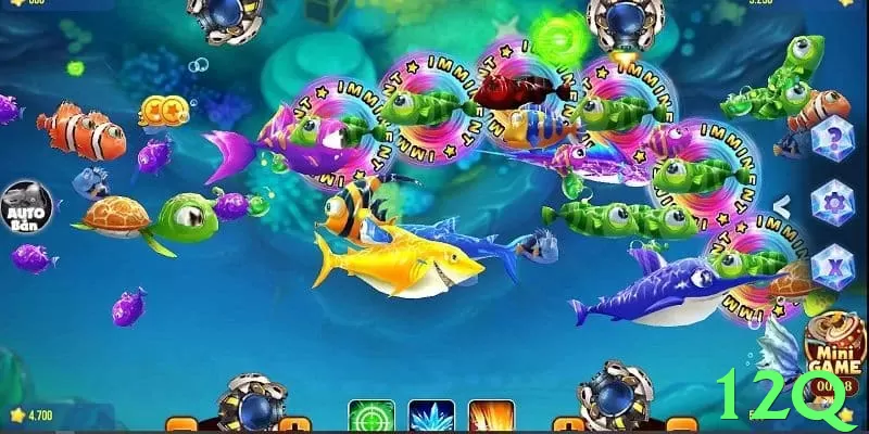 12q: O Guia Definitivo Para Jogadores Brasileiros - app