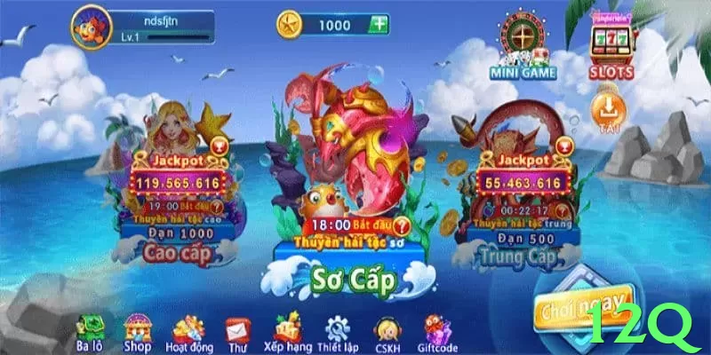 12q: O Guia Definitivo Para Jogadores Brasileiros - go