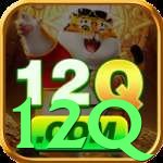 12q - app
